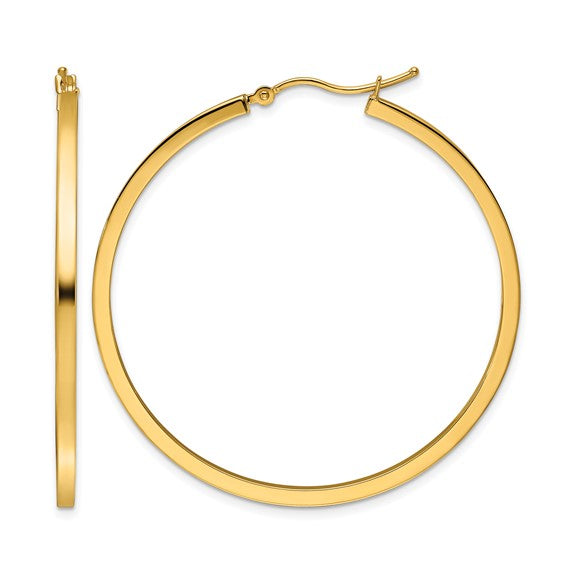 Gold Earring