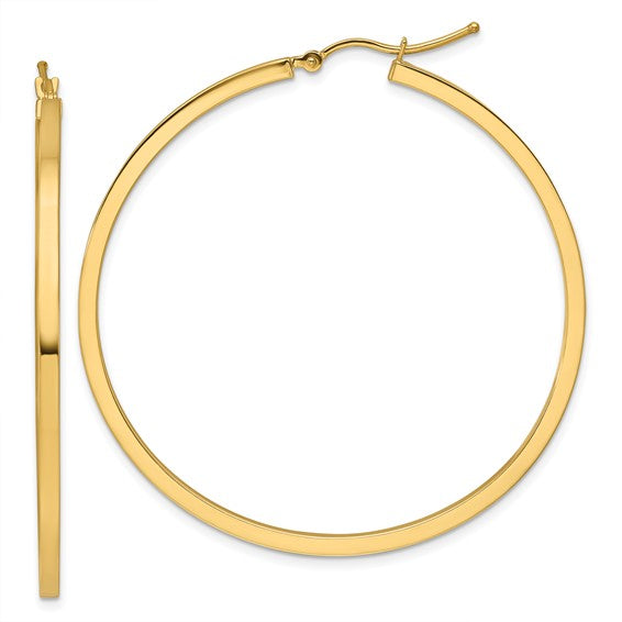 Gold Earring
