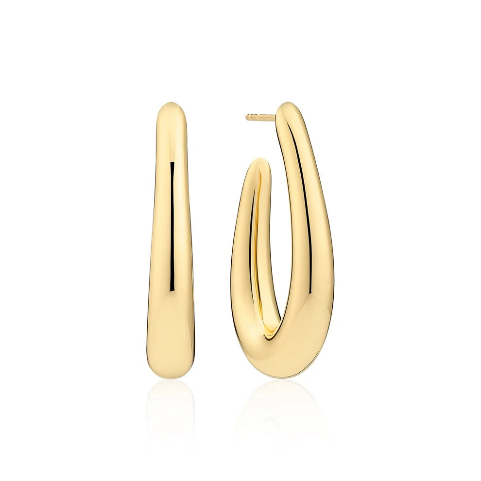 Silver Earring