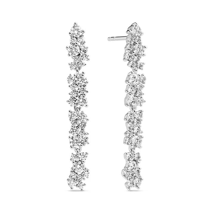 Silver Earring