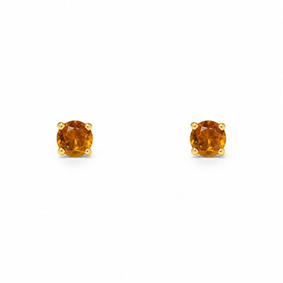 Colored Stone Earring
