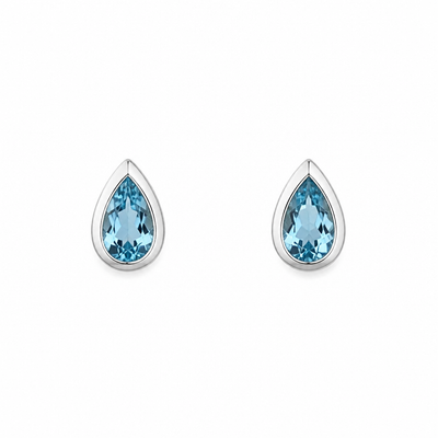 Silver Earring