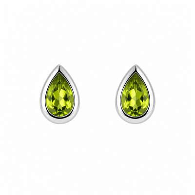 Silver Earring