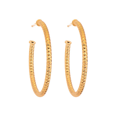 Silver Earring