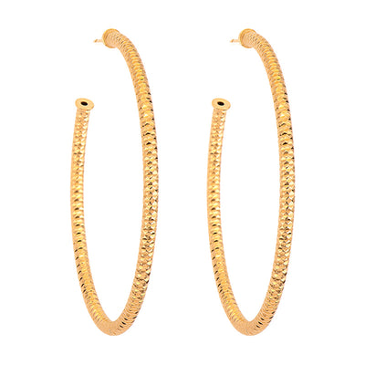 Silver Earring