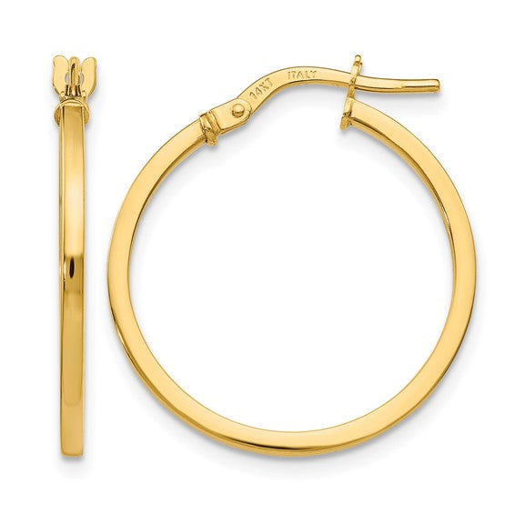 Gold Earring