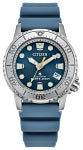 Watch ....ladies Citizen
