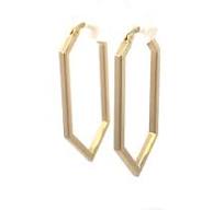 Gold Earring